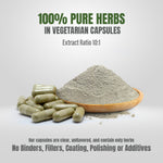 Guduchi Satva Capsules – Tinospora Cordifolia - (Water based Extract) 10:1 - 90 Vege Capsules - 800 mg each