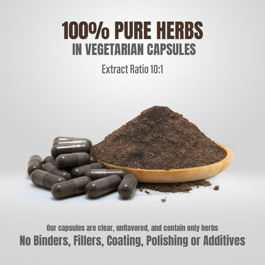 Jatamansi Capsules – Nardostachys Jatamansi - 2% to 2.5% Jatamansone - Extract Ratio 6:1 - 60 Vege Capsules - 800 mg each