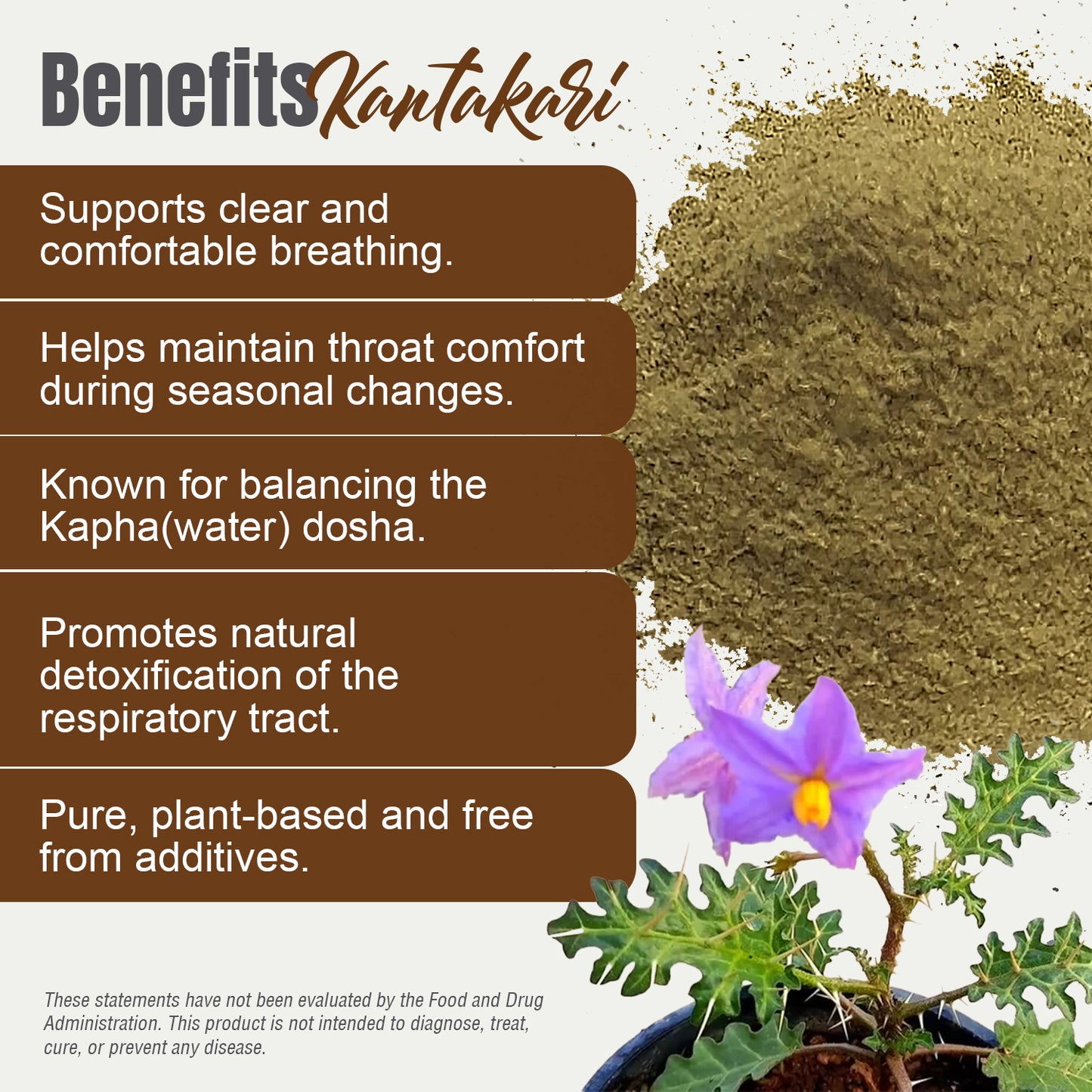 Kantakari Powder (Solanum xanthocarpum ) - Non GMO - Vegan - (454 Gms - 1LBS)