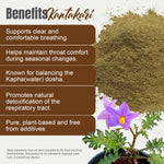 Kantakari Powder (Solanum xanthocarpum ) - Non GMO - Vegan - (454 Gms - 1LBS)