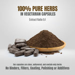 Kutki Capsules - Picrohiza Kurroa - 7% Kutkin - Extract Ratio 5:1 - 60 Vege Capsules - 800 mg each