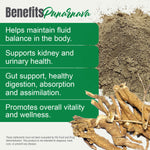 Punarnava Powder (Boerhavia Diffusa) - Non GMO - Vegan - (454 Gms - 1LBS)