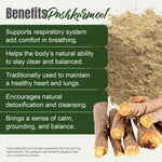 Pushkarmool Powder (Inularacemosa) - Non GMO - Vegan - (454 Gms - 1LBS)