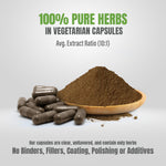 Shankhpushpi Capsules – Convolvulus Pluricaulis - 5% bitters & 1% alkaloids - Extract Ratio 20:1 - 60 Vege Capsules - 650 mg each