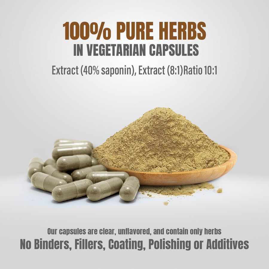 Shatavari Capsules Asparagus Racemosus 500mg 120 Stress Calmant Shatavari Capsules Asparagus Racemosus 500mg 120 Stress Calmant