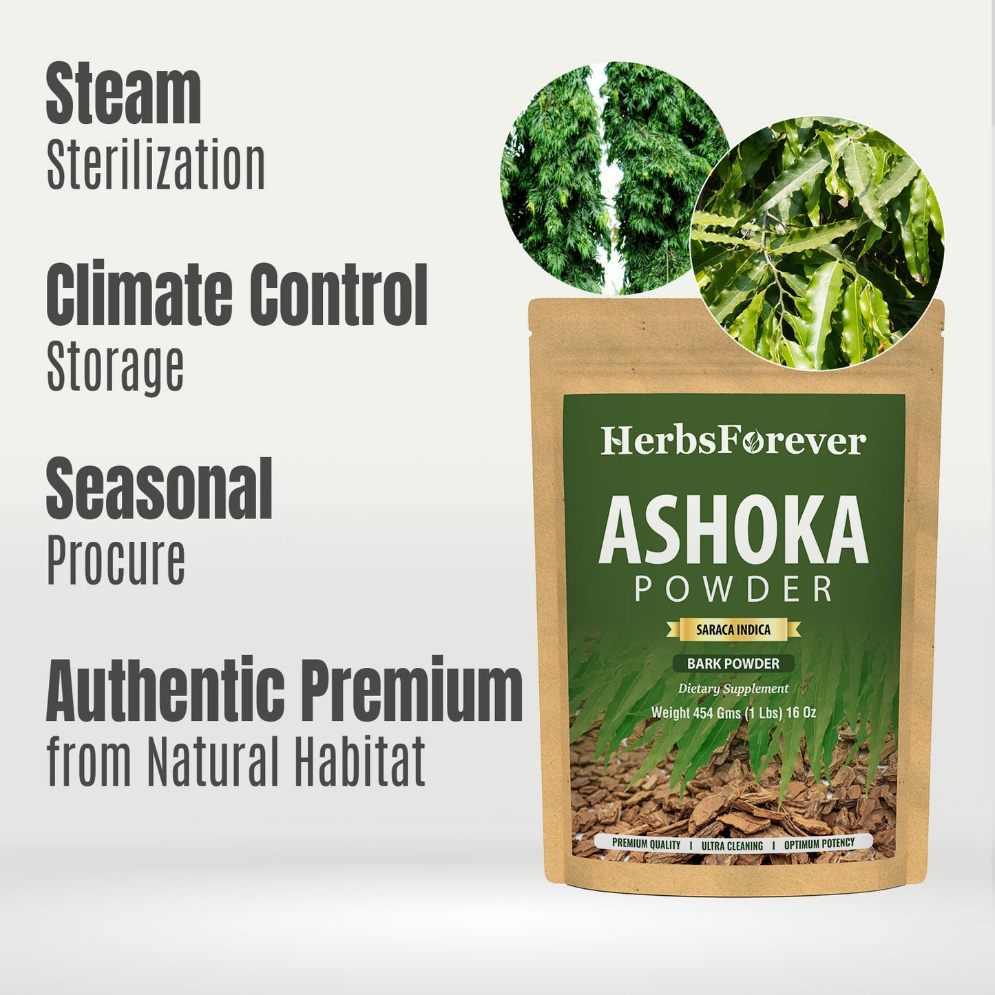 Ashoka Powder (Saraca Asoca) - Non GMO - Vegan - (454 Gms - 1LBS)