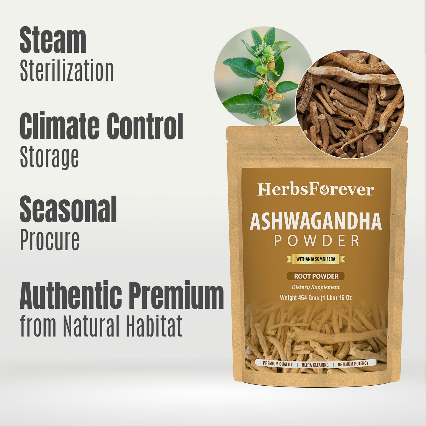 Ashwagandha Powder (Withania Somnifera) – Non GMO – Vegan – (454 Gms – 1LBS)