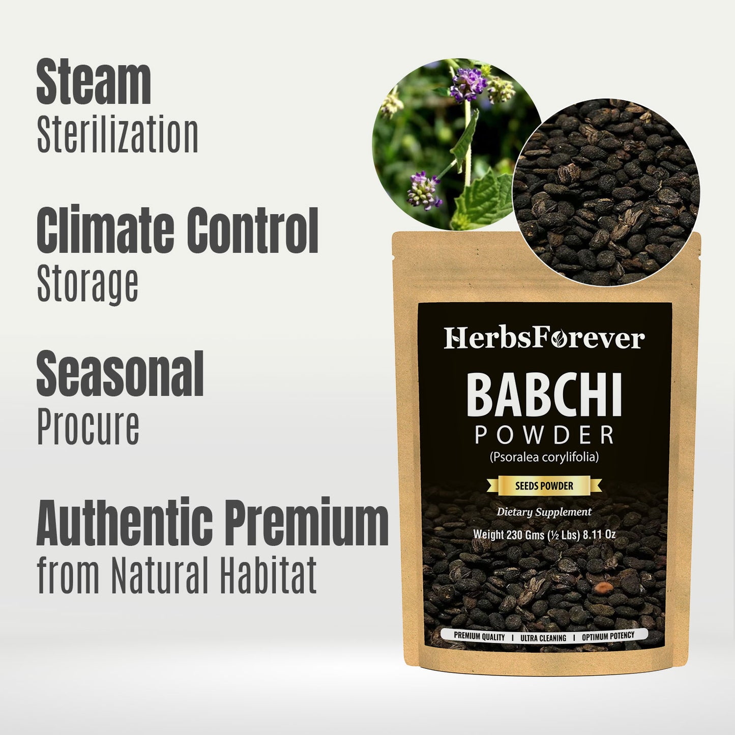 Babchi Powder (Psoralea Corylifolia) - Non GMO - Vegan - (230 Gms)