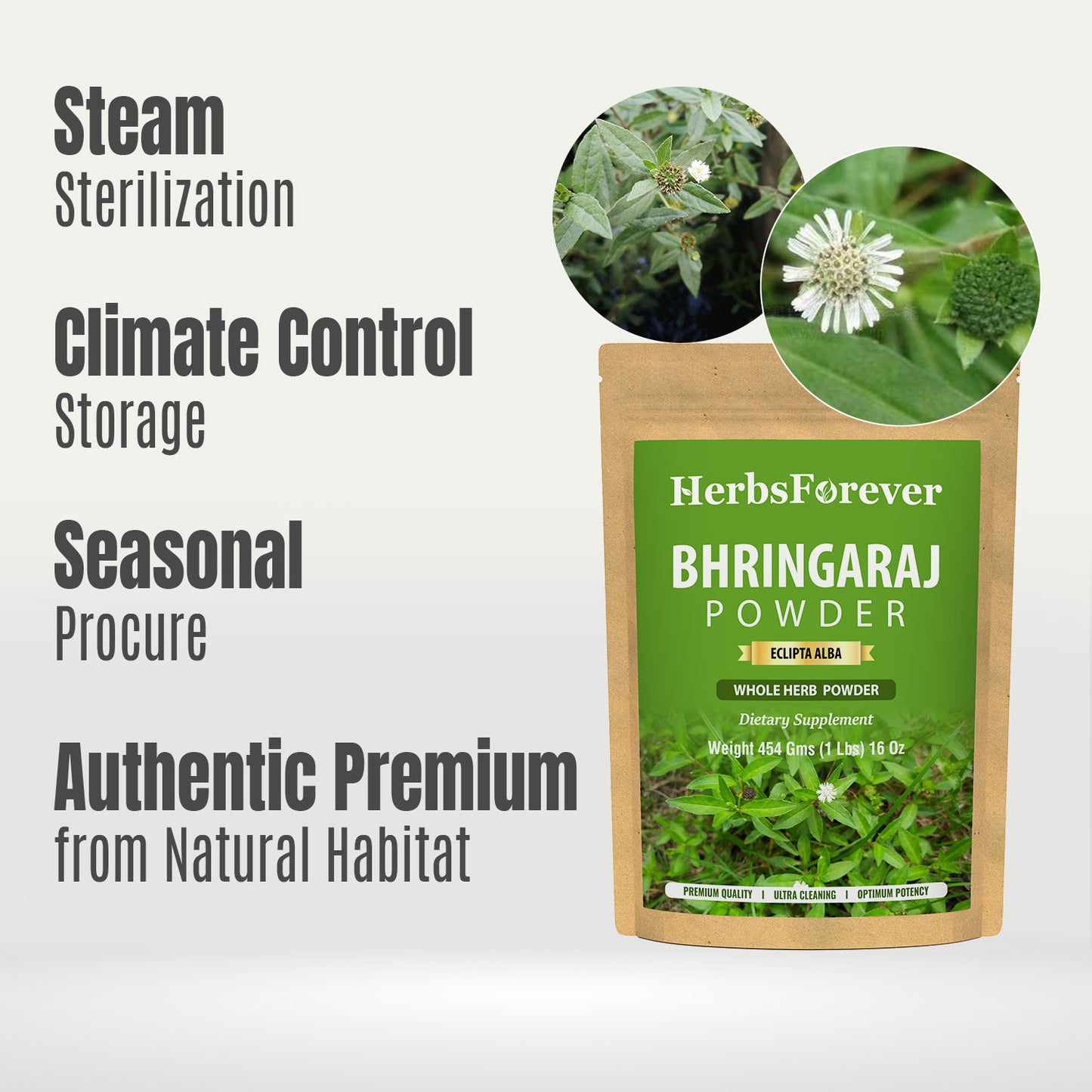 Bhringaraj Powder (Eclipta Alba) – Non GMO – Vegan – (454 Gms – 1LBS)