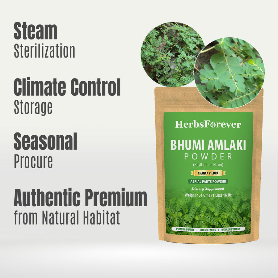 Bhumi Amlaki Powder (Phyllanthus Niruri) – Non GMO – Vegan – (454 Gms – 1LBS)