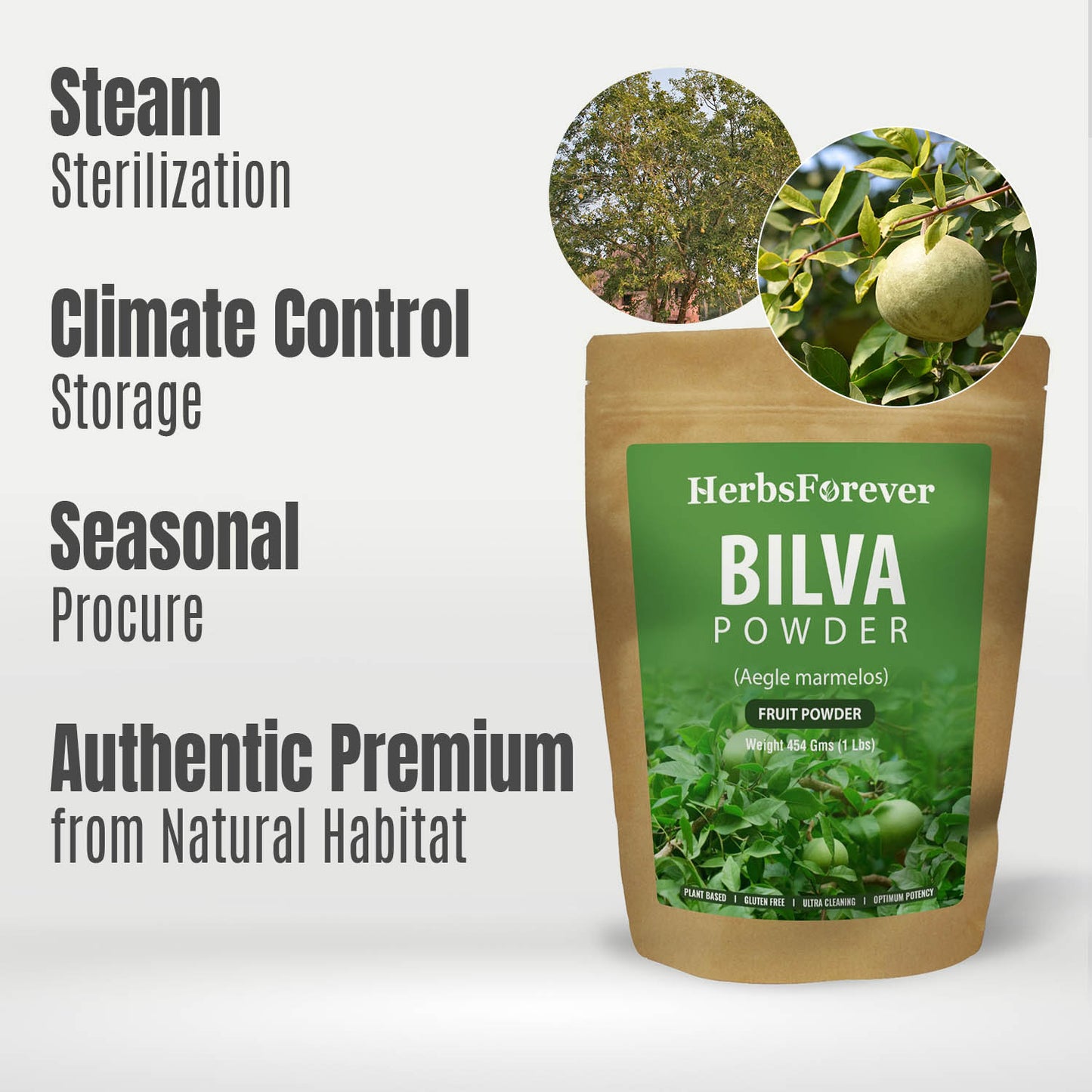 Bilva Fruit Powder - (Aegle marmelos) - Non GMO - Vegan – (454 Gms - 1LBS)