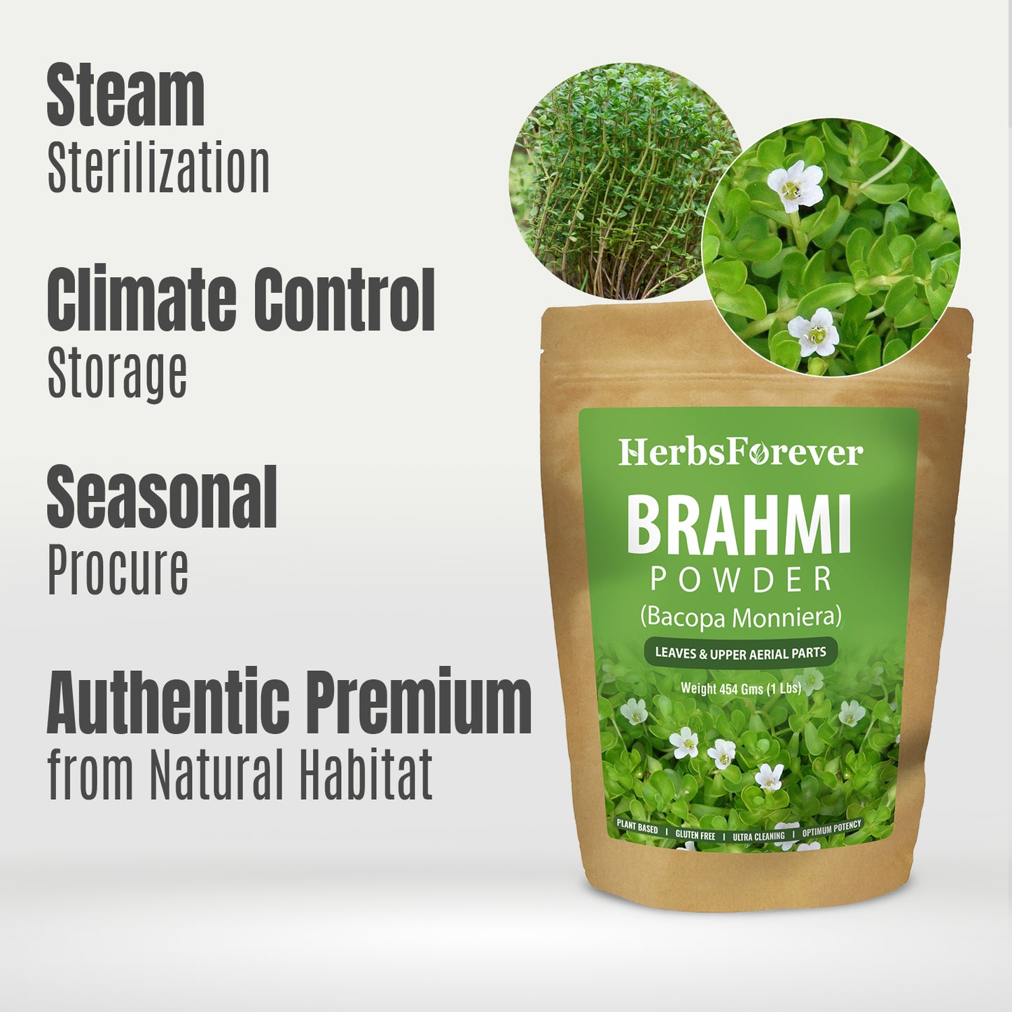 Brahmi Powder  (Bacopa Monnieri) – Non GMO – Vegan – (454 Gms – 1LBS)