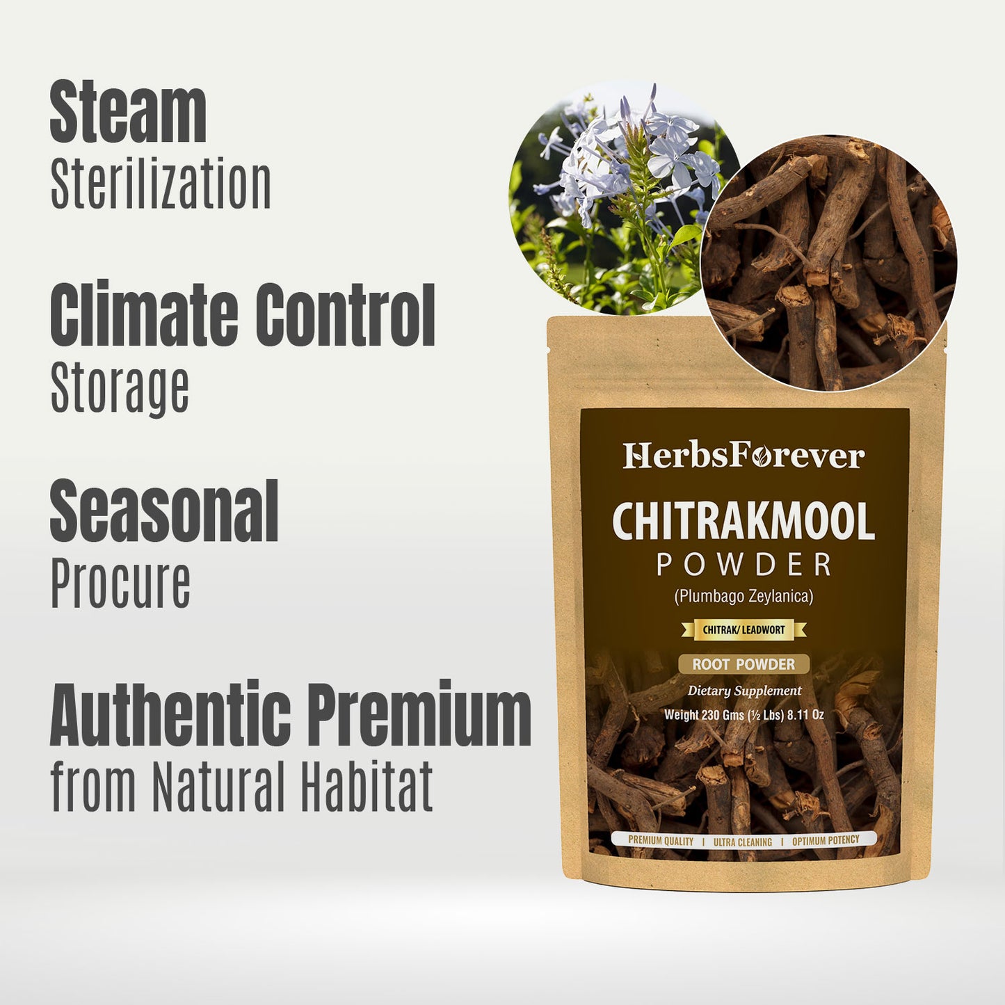 Chitrakmool Powder (Plumbago Zeylanica) - Non GMO - Vegan - (230 Gms - ½ LBS)