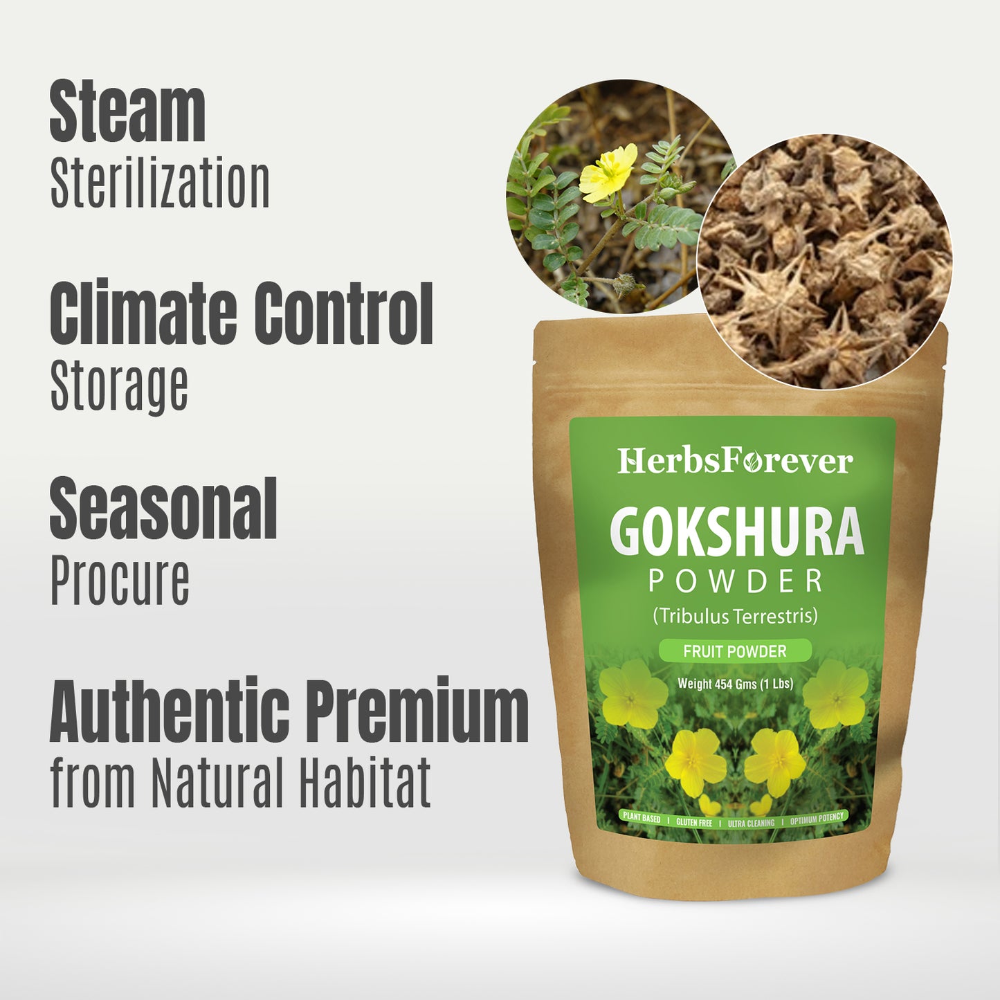 Gokshura Powder (Tribulus Terrestris) - Non GMO - Vegan - (454Gms - 1LBS)