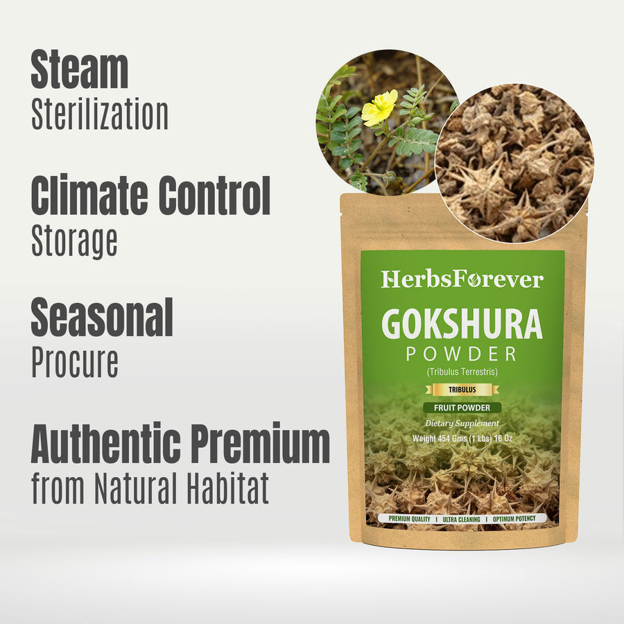 Gokshura Powder (Tribulus Terrestris) - Non GMO - Vegan - (454Gms - 1LBS)