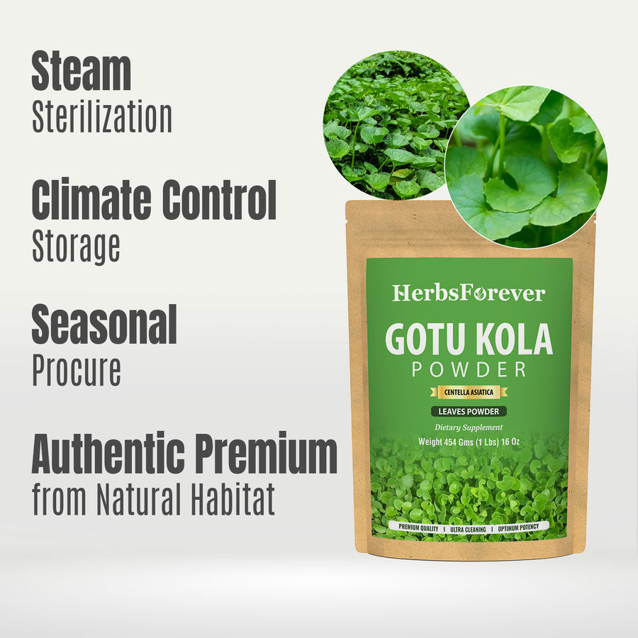 Gotu Kola Powder  (Centella Asiatica) - Non GMO - Vegan - (454 Gms - 1LBS)