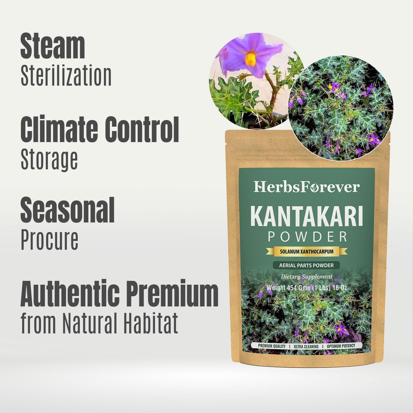 Kantakari Powder (Solanum xanthocarpum ) - Non GMO - Vegan - (454 Gms - 1LBS)