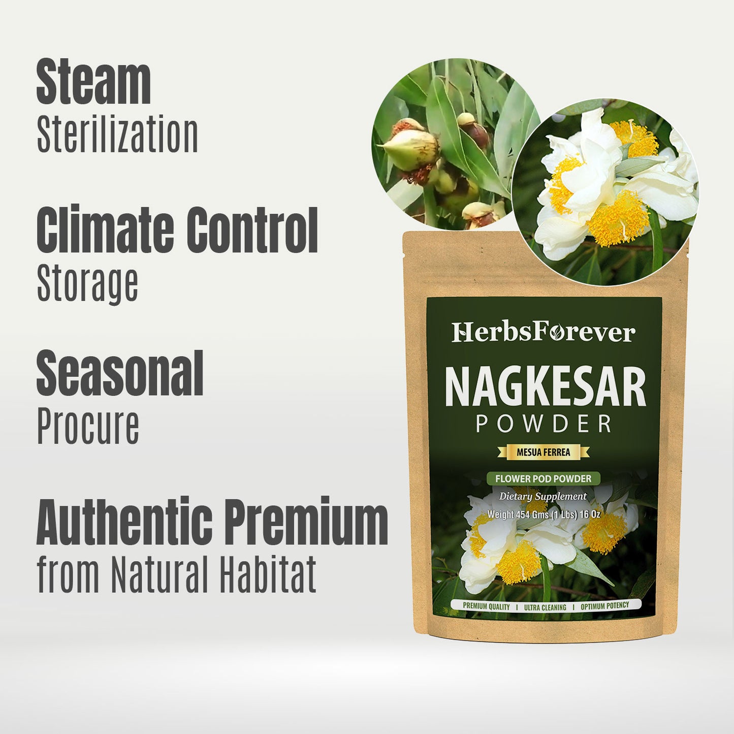 Nagkesar Powder (Mesua Ferrea) - Non GMO - Vegan - 454 Gms - 1LBS