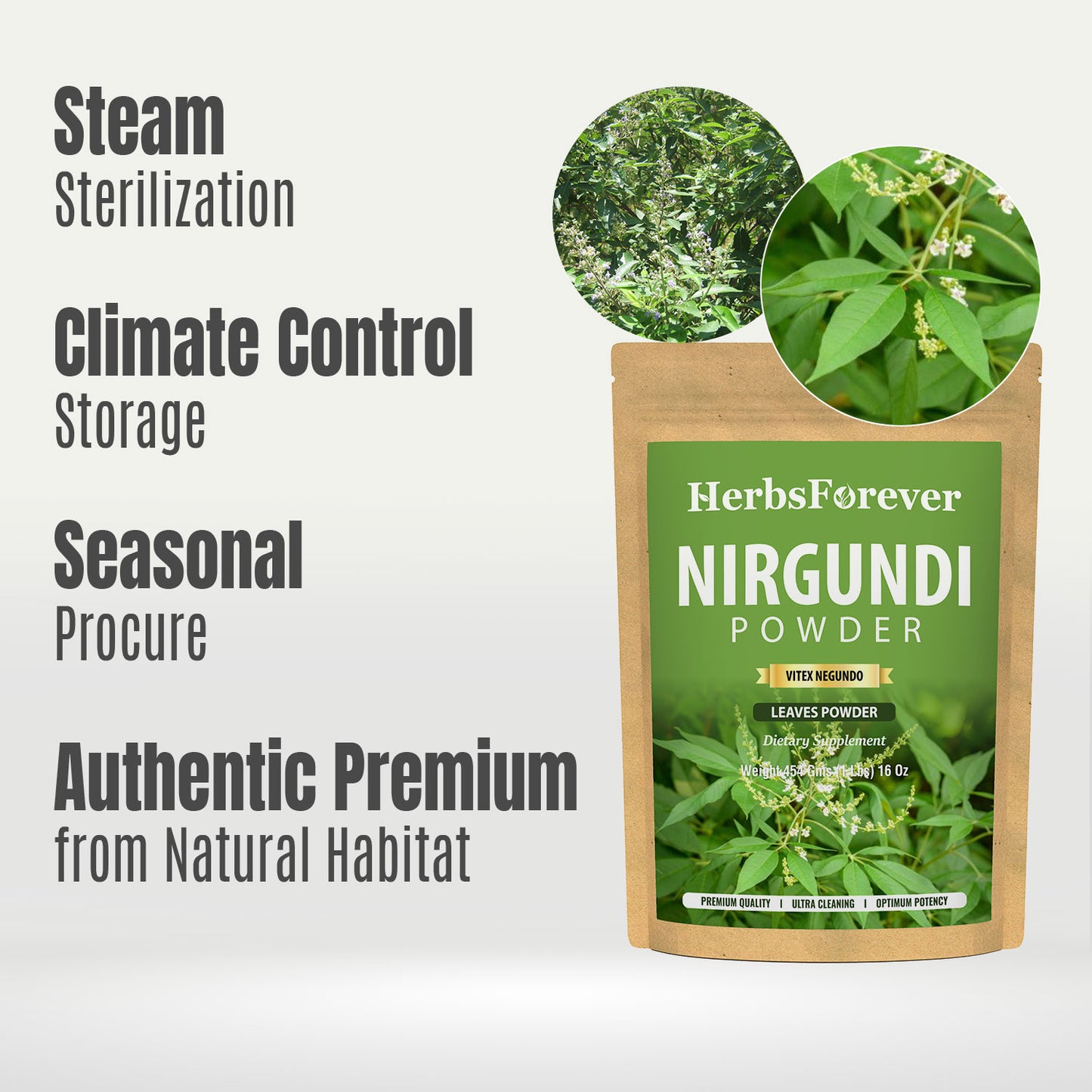 Nirgundi Powder (Vitex Negundo) - Non GMO - Vegan - (454 Gms - 1LBS)