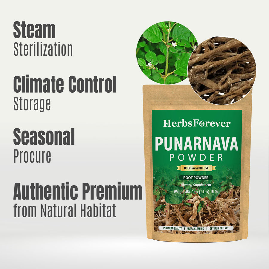 Punarnava Powder (Boerhavia Diffusa) - Non GMO - Vegan - (454 Gms - 1LBS)