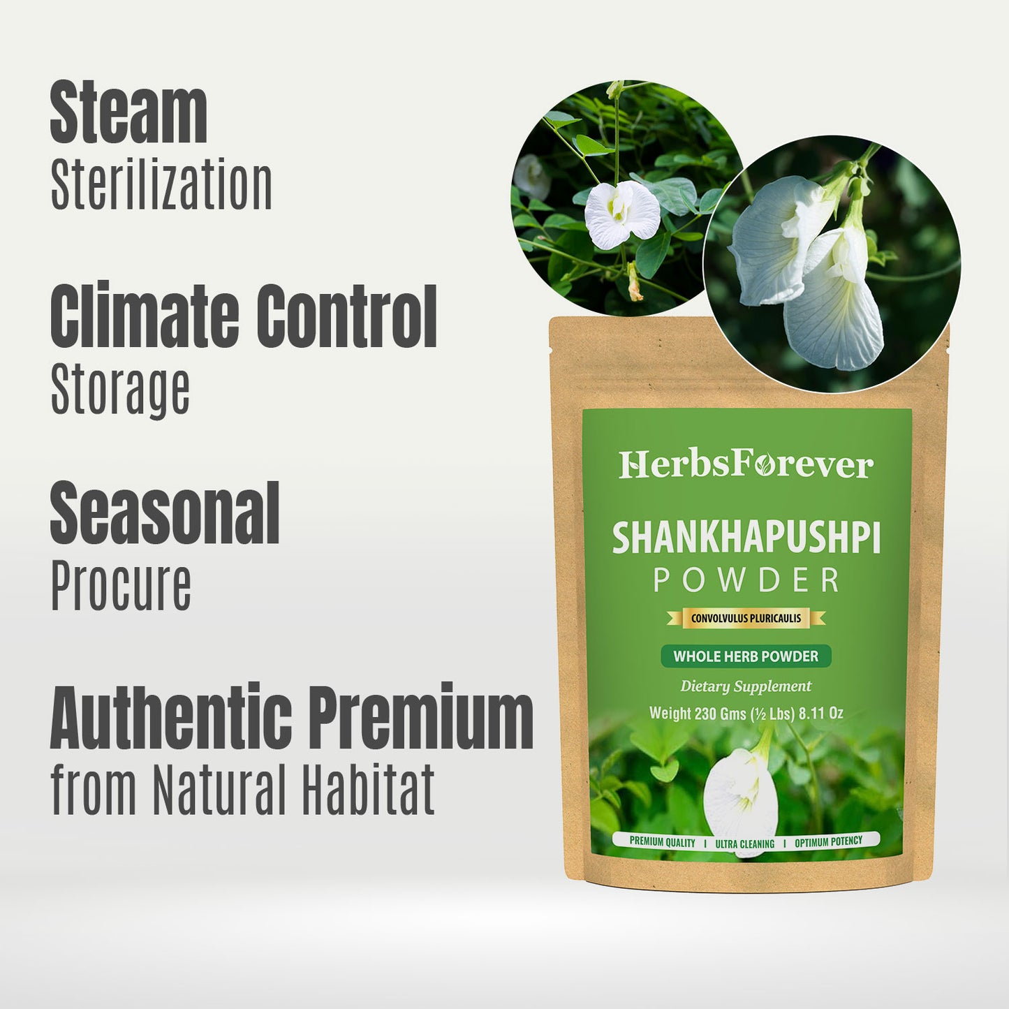 Shankhapushpi Powder (Convolvulus Pluricaulis) – Non GMO – Vegan – (454 Gms – 1LBS)