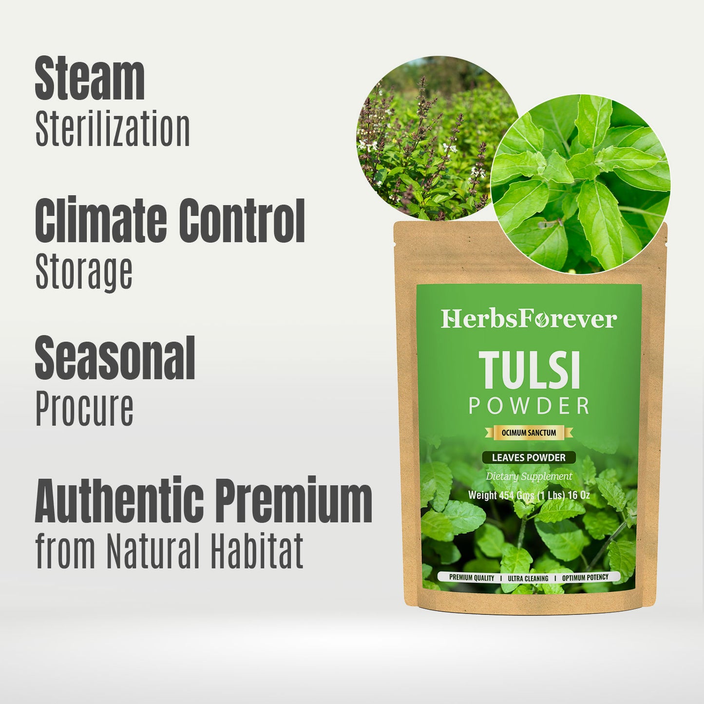 Tulsi Powder (Ocimum Sanctum) - Non GMO - Vegan - (454 Gms - 1LBS)