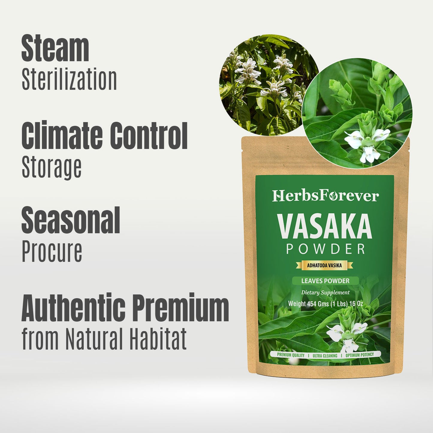 Vasaka Powder (Adhatoda Vasica) - Non GMO - Vegan - (454 Gms - 1LBS)