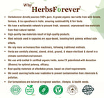 Male Forty Plus Capsules - Ayurvedic Herbal Supplement – 90 Vege Capsules – 800 Mg Each