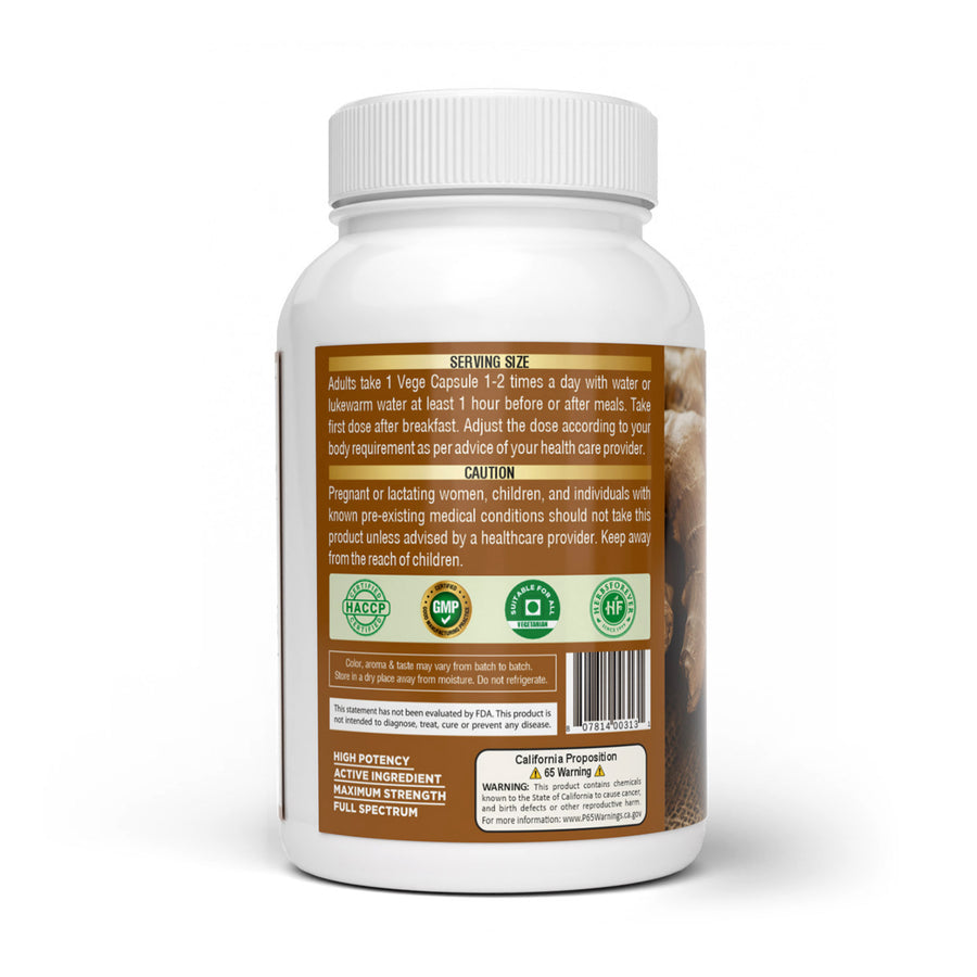 Ginger Capsules - ZingiberOfficinale - 1.5% Gingerols - Extract Ratio 6:1 - 90 Vege Capsules - 700 mg each