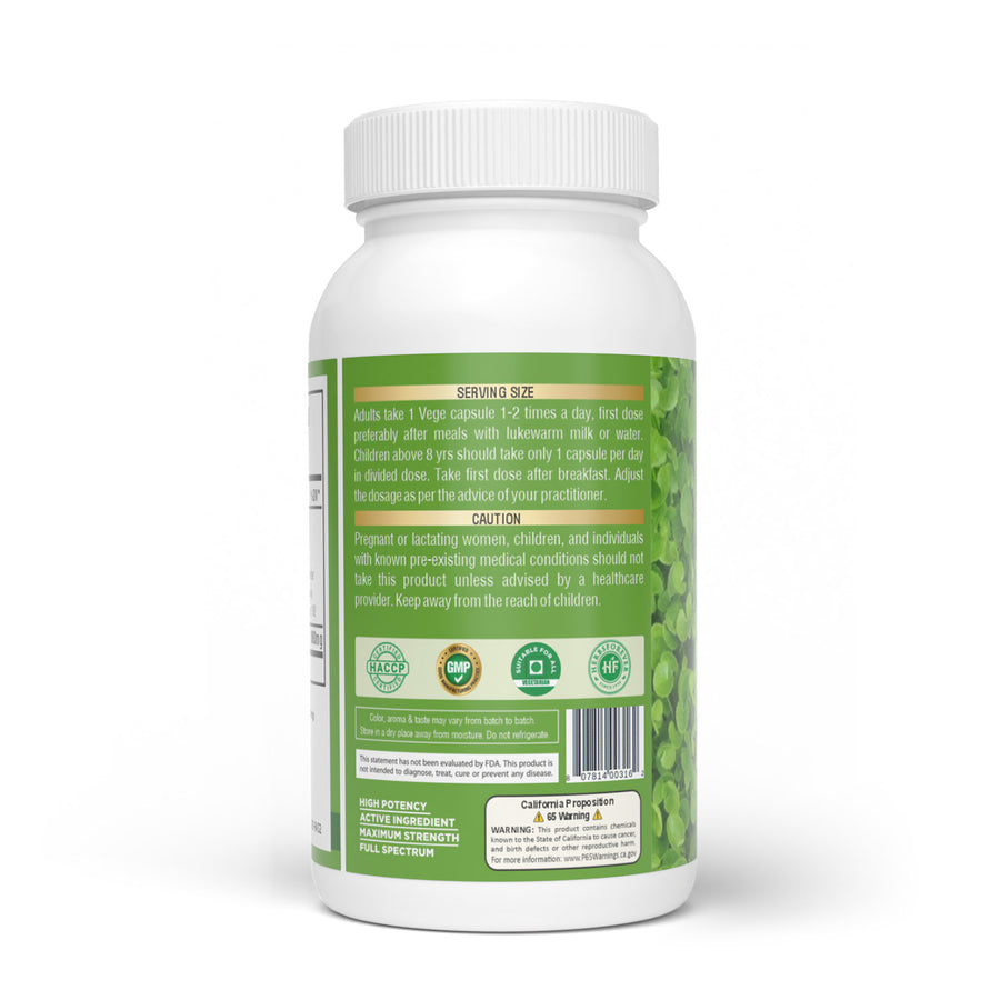 Gotu kola Capsules – Centella Asiatica - 20% triterpene - Extract Ratio 10:1 - 60 Vege Capsules - 880 mg each