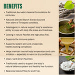 Guduchi Satva Powder - Tinospora Cordifolia - Non GMO - Vegan - 100 Gms