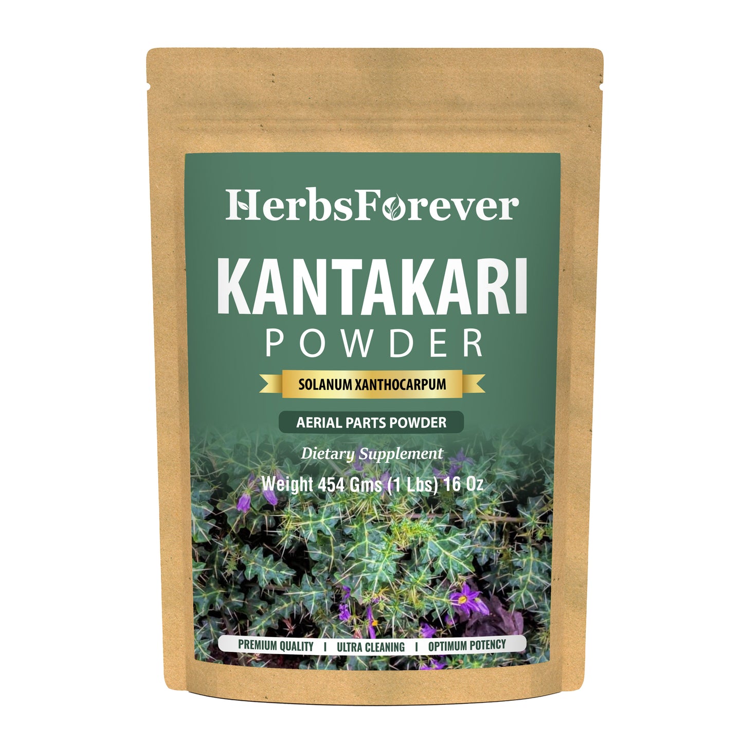 Kantakari Powder (Solanum xanthocarpum ) - Non GMO - Vegan - (454 Gms - 1LBS)