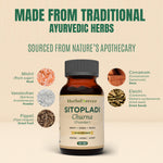 Sitopladi Churna Powder - 100 Gms