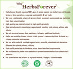 Bitter Melon Capsules (Momordica Charantia) - 5% Bitters - Extract Ratio 10:1 - 60 Vege Capsules - 880 mg each