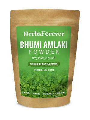Tulsi Powder (Ocimum Sanctum) - Non GMO - Vegan - (454 Gms - 1LBS)