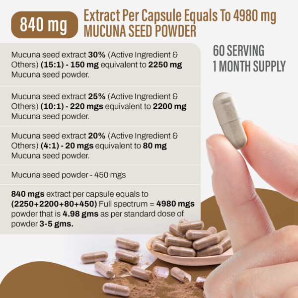 Mucuna Capsules - Mucuna Pruriens - 30% - Extract Ratio 15:1 - 60 Vege Capsules - 840 mg each