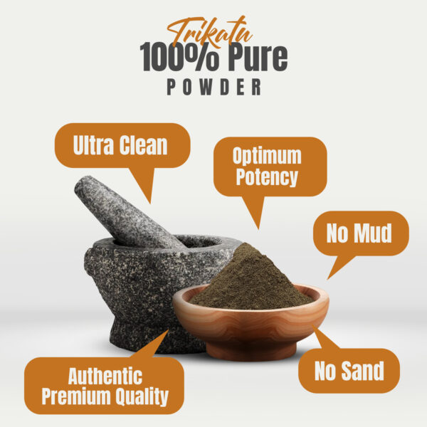 bnr2_trikatu_powder_230 Trikatu Churna Powder – 230 Gms – ½ Lbs