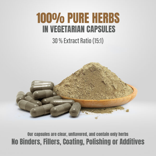 Mucuna Capsules - Mucuna Pruriens - 30% - Extract Ratio 15:1 - 60 Vege Capsules - 840 mg each