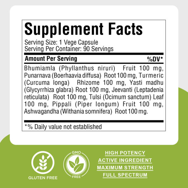 bnr3_enviro_care_90Caps Enviro Care Capsules - Ayurvedic Herbal Supplement – 90 Vege Capsules – 800 Mg Each