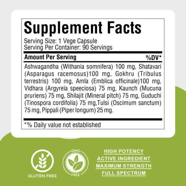 Vitazin Capsules - Ayurvedic Herbal Supplement – 90 Vege Capsules – 800 Mg Each