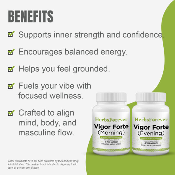 bnr4_vigor-forte_42Caps Vigor Forte Capsules - Ayurvedic Herbal Supplement – Combination Pack (2 Bottles) Morning Strength: 42 Capsules, 800 mg each & Evening Strength 42 Veg Capsules, 800 mg each