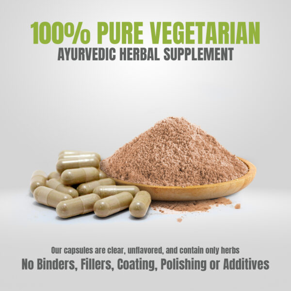 Blood Cleaner - Ayurvedic Herbal Supplement – 90 Vege Capsules – 800 Mg Each