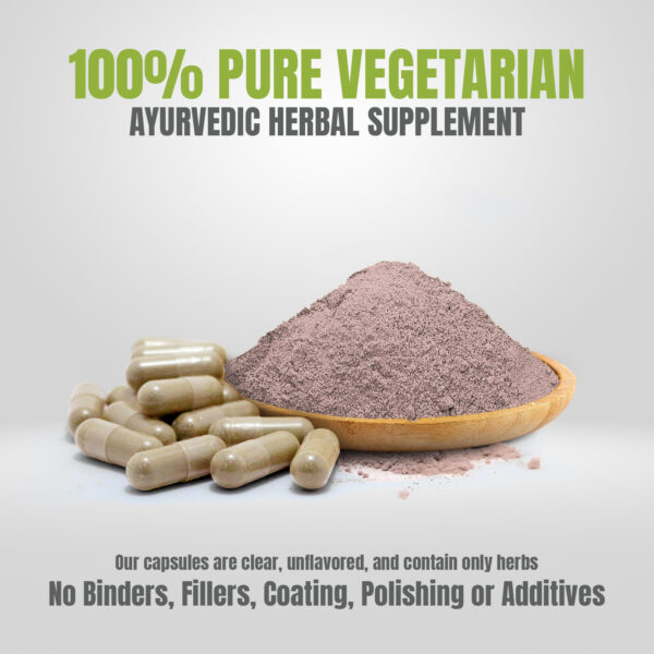 Heart Health Capsules - Ayurvedic Herbal Supplement – 90 Vege Capsules – 800 Mg Each