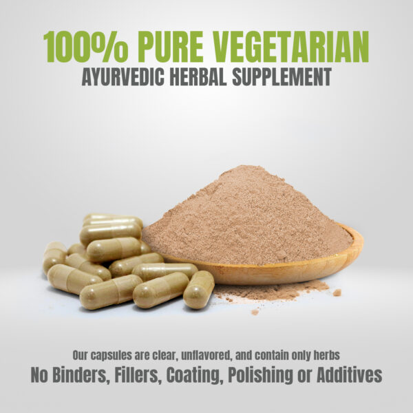 bnr5_vigor-forte_42Caps Vigor Forte Capsules - Ayurvedic Herbal Supplement – Combination Pack (2 Bottles) Morning Strength: 42 Capsules, 800 mg each & Evening Strength 42 Veg Capsules, 800 mg each