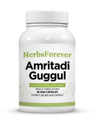 Gastro Care Capsules - Ayurvedic Herbal Supplement – 90 Vege Capsules – 800 Mg Each