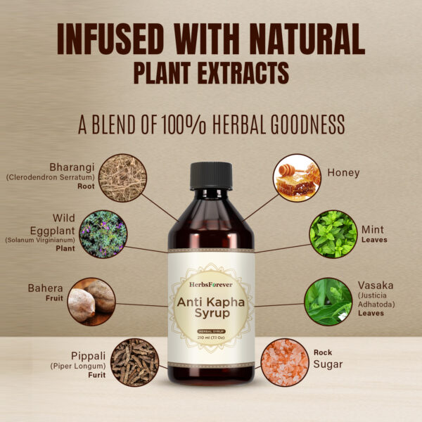 Anti Kapha Syrup - 210 ml