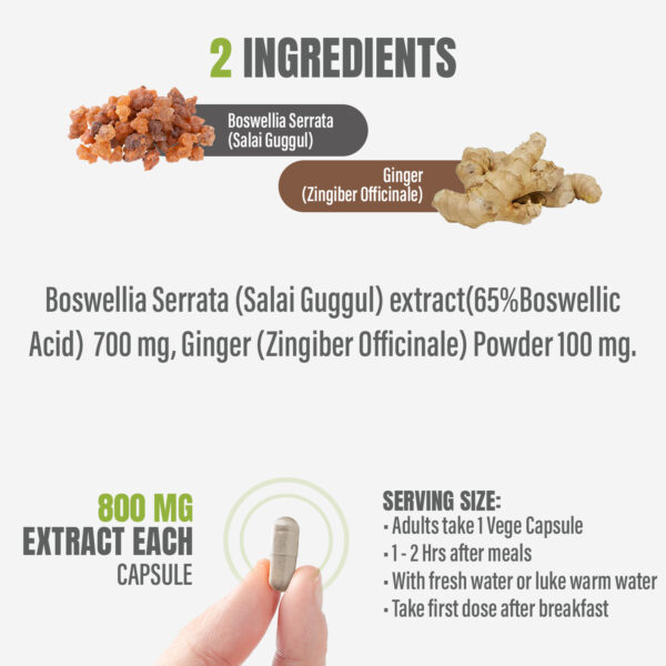 bnr2_boswellia-serrata_guggul Boswellia Serrata (Salai Guggul) - 65% Boswellic Acid - 90 Vege Capsules - 800 mg each