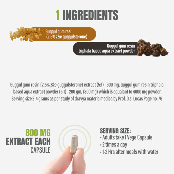 bnr2_guggul (commiphora-mukul) Guggul Resin Capsules – Commiphora Wightii - 2.5% Z&E - Extract Ratio 5:1 - 90 Vege Capsules - 700 mg each