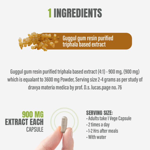 bnr2_guggul-shudh Shudh Guggul Capsules – Commiphora Wightii - 90 Vege Capsules - 800 mg each