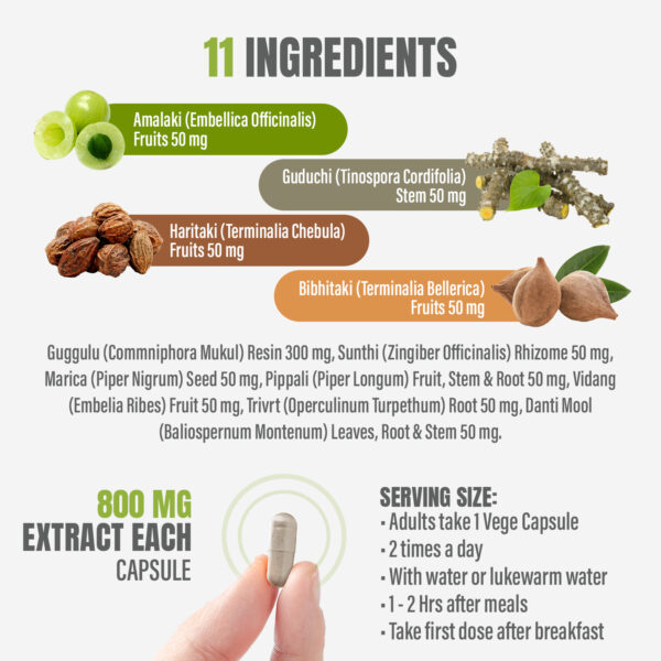 Kaishore Guggulu - Ayurvedic Herbal Supplement - 90 Vege Capsules - 800 Mg Each